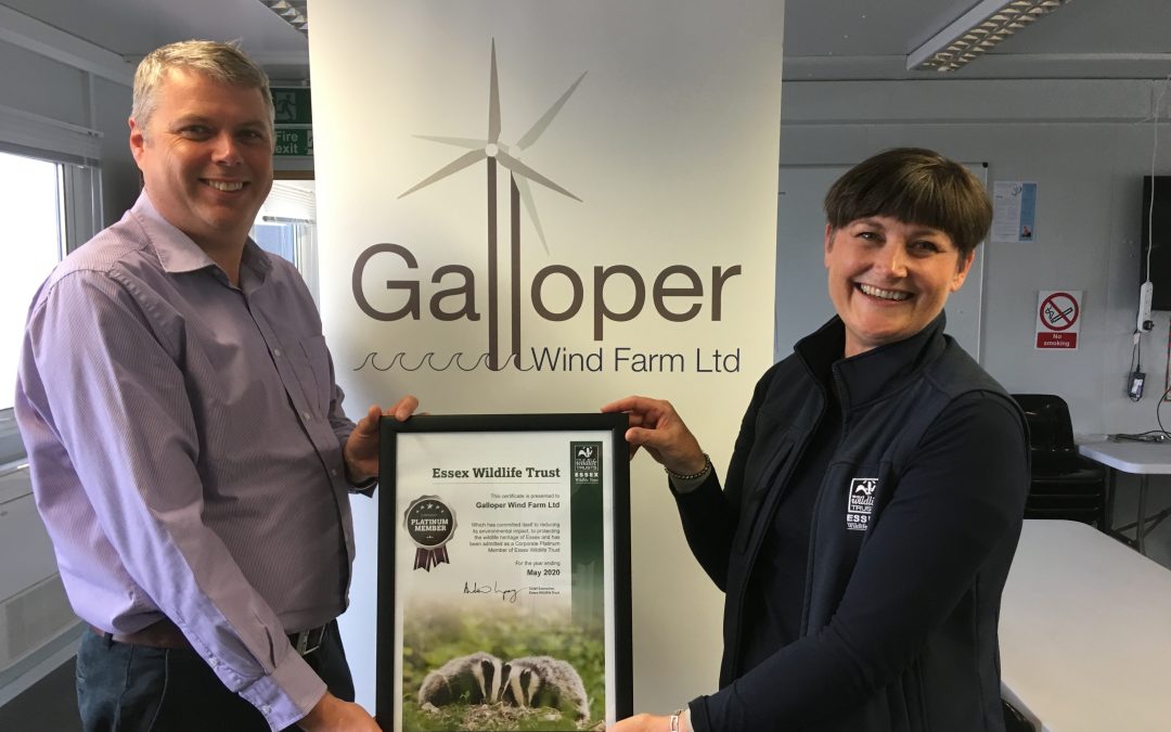 Community environmental projects eligible for Galloper grant